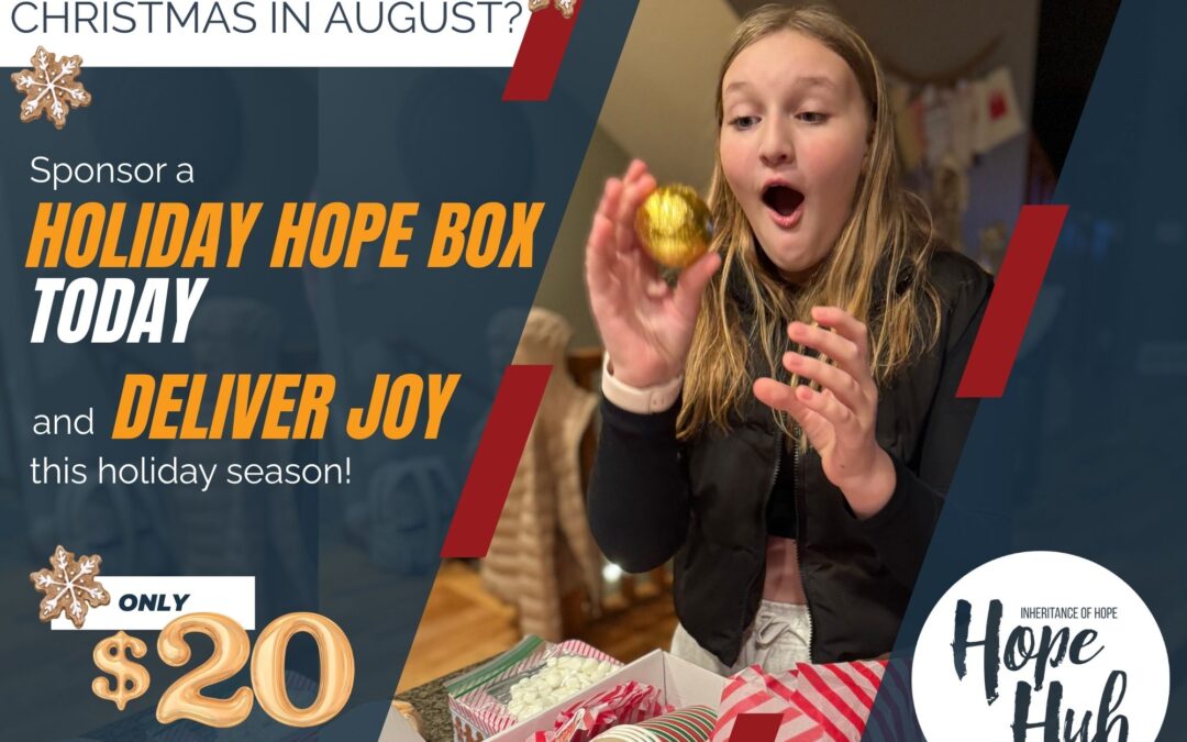 Christmas in August: Sponsor a Holiday Hope Box